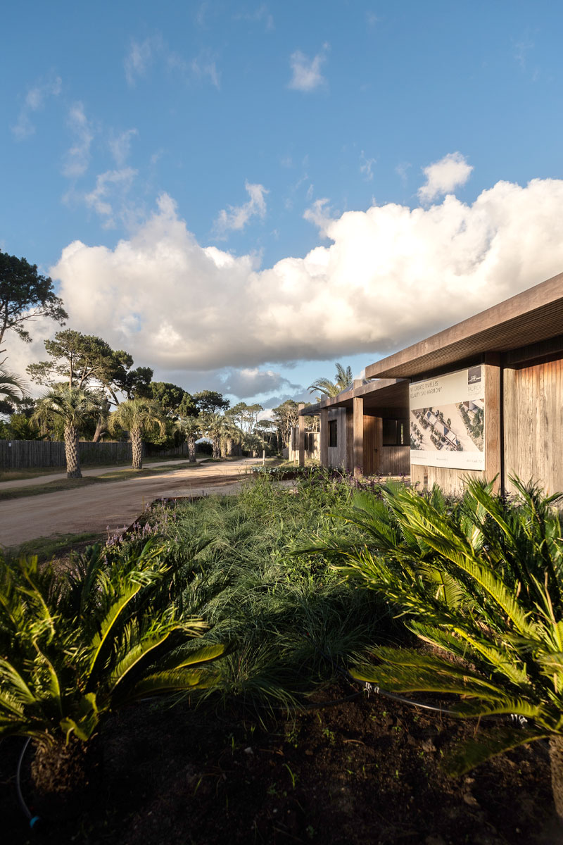 Colorlib Template